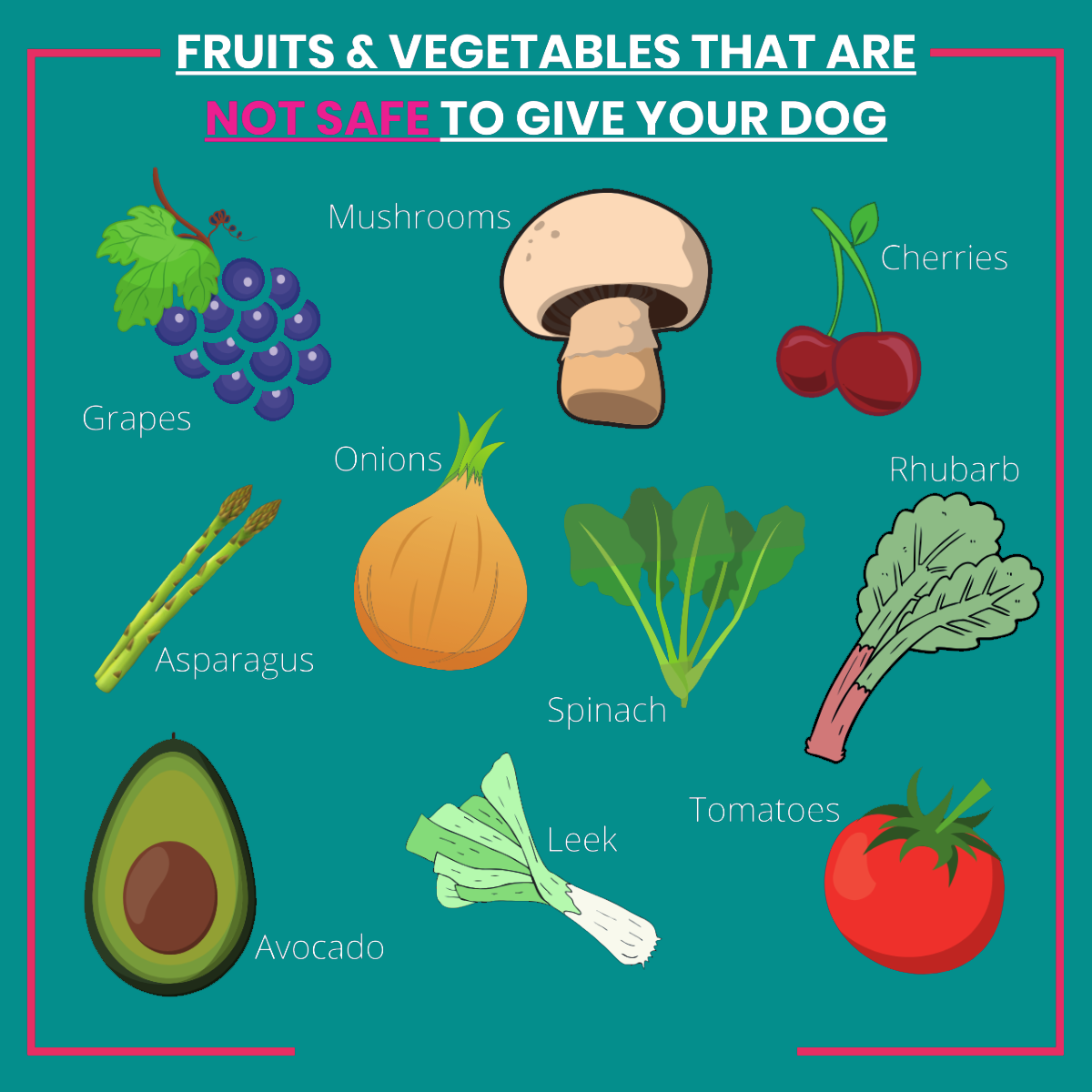 A graphic of fruits and vegetables that are NOT safe for dogs to eat