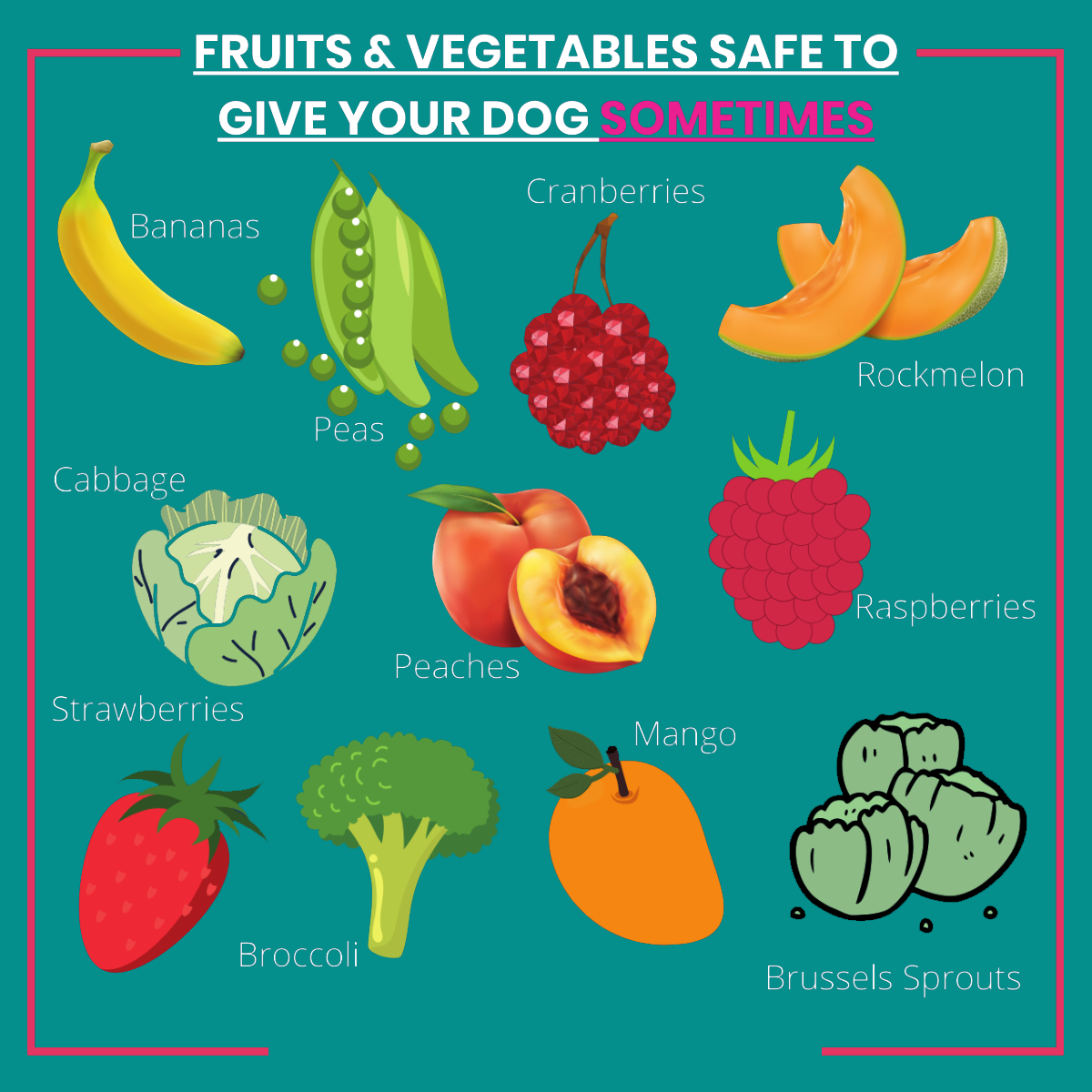 A graphic of fruits and vegetables that are ok for dogs to eat sometimes