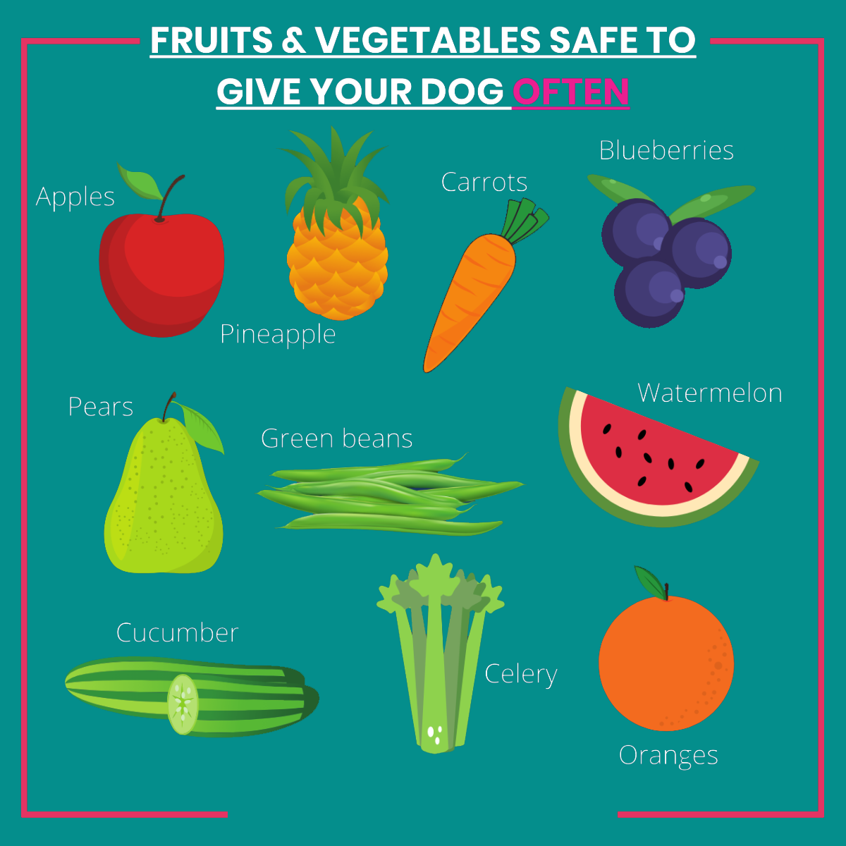 A graphic of fruits and vegetables that are safe for dogs to eat