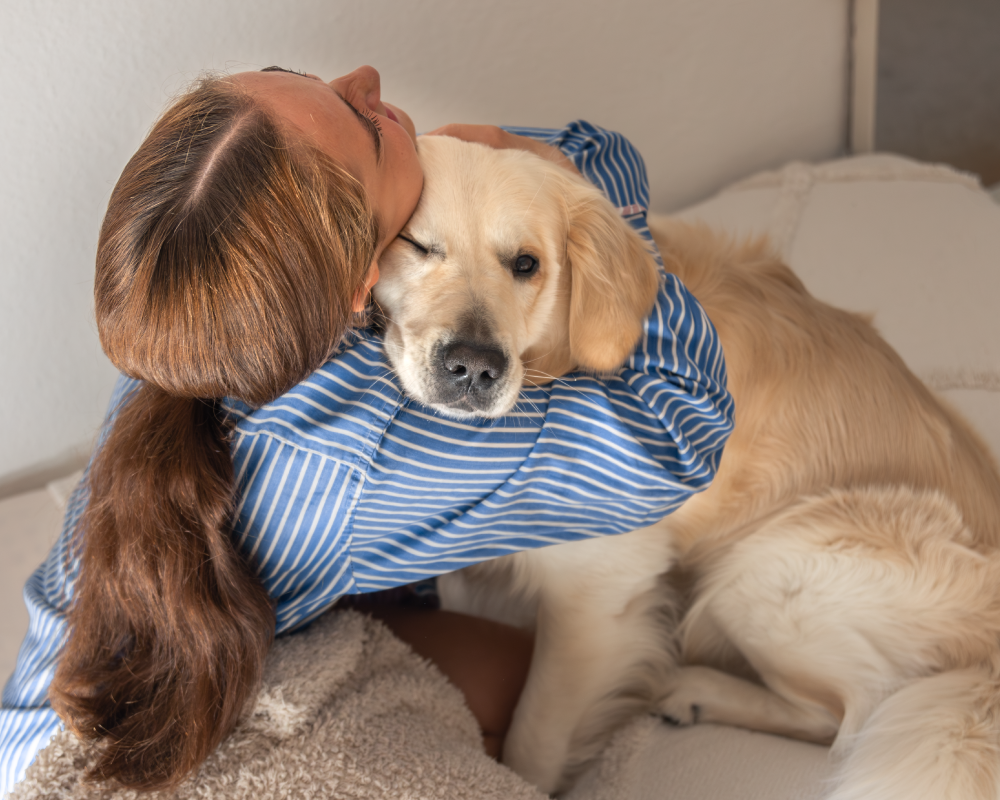Dog Hero Image