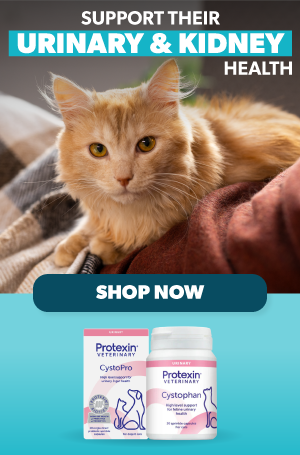 Urinary Support for Cats