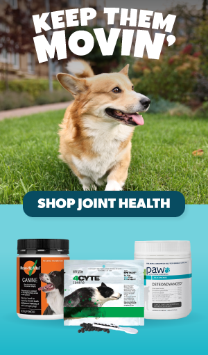 Joint Health for Dogs