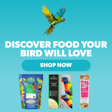 Food for Birds