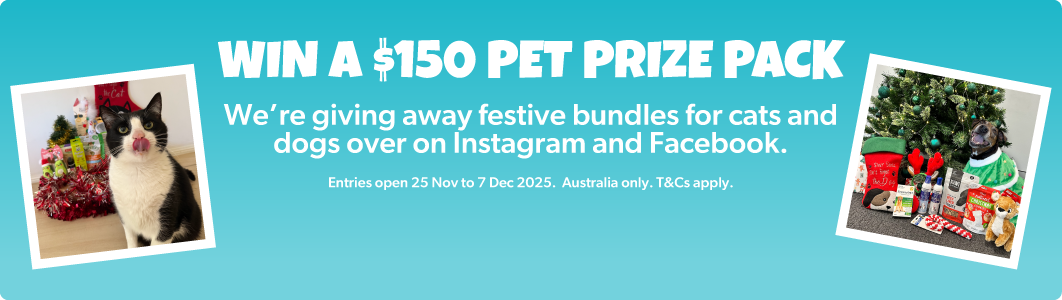 Christmas Cat and Dog Giveaway