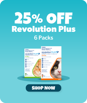 25% off Revolution Plus