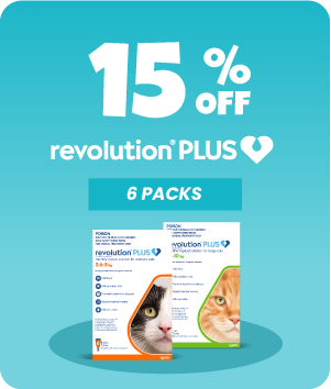 Revolution Plus
