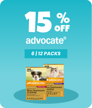Advocate