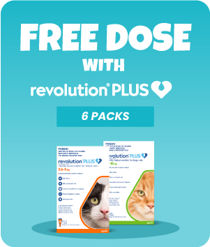 Revolution Plus