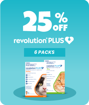 Revolution Plus