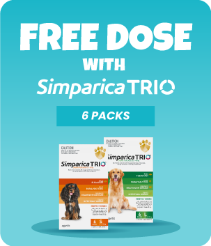 Simparica Trio