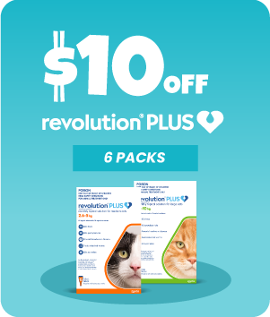 Revolution Plus