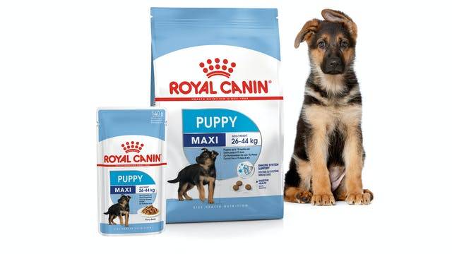 A German Shepherd puppy is pictured next to the Royal Canin Puppy food for Maxi Breeds range of food