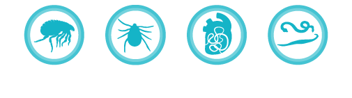 Flea, tick, heartworm, worm