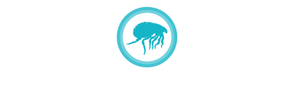 Flea Treatment