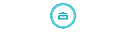 Cat food