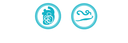 Heartworm, worm