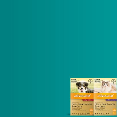 20% off Advocate 6 Packs