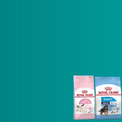 20% off Royal Canin Puppy and Kitten Range