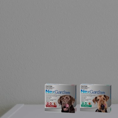 15% off Nexgard 6 & 12 Packs