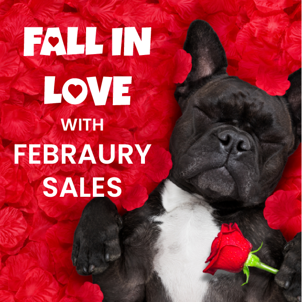 Vet Supplies Online Vet Products Direct Australia