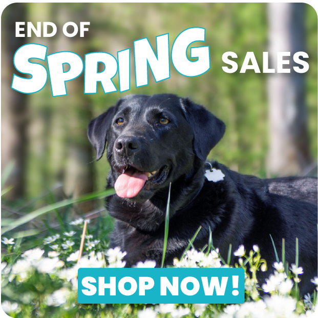 November Sales