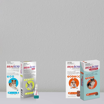 10% Off Entire Bravecto Range
